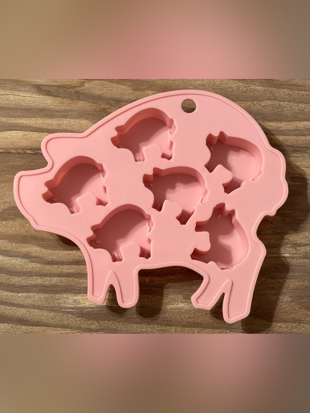 Silicone Pig-Shaped Craft Mold in Pink with 6 Cavities.